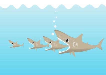 大的鲨鱼鱼吃小的鲨鱼,大的鱼食物小的鱼布西河照片