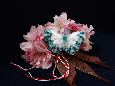 手工做的钩针编织品蝴蝶同样地马尔蒂索.照片