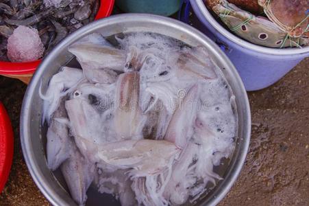 漠湖临海的风景关于厄海湖瓦坎山谷采用阿富汗山山峰在日出关-在上面