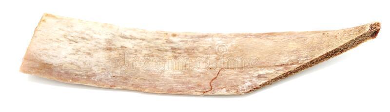 鸡边腿动物肋骨骨骼隔离的向白色的背景.剩余的食物chile智利照片