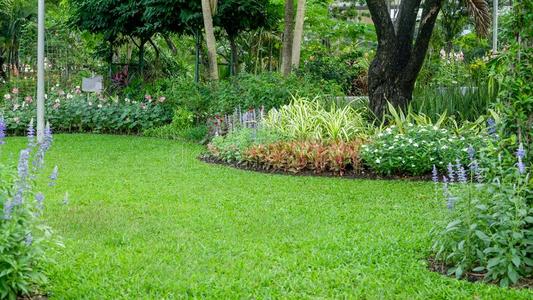 口袋花园向新鲜的绿色的地毯草光滑的草地和弧线照片