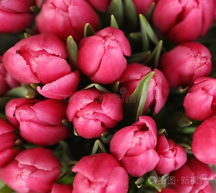 美丽的花束关于郁金香花.花的布置