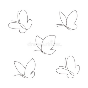 蝴蝶线条图片