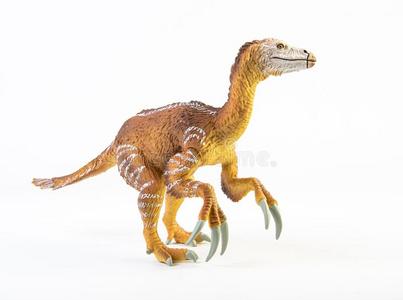 镰刀镰刀龙,恐龙向白色的背景照片