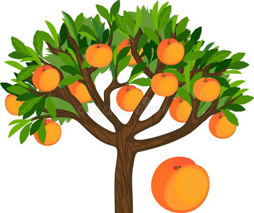 桃子漫画上篇桃子树和绿色的树叶和成熟的成果隔离的向白色的英语字母