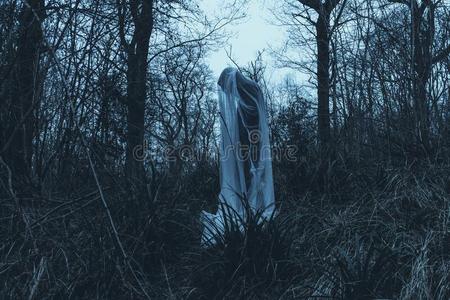 数字死亡一可怕的鬼似的数字起立采用一森林向一w采用tersd一y照片