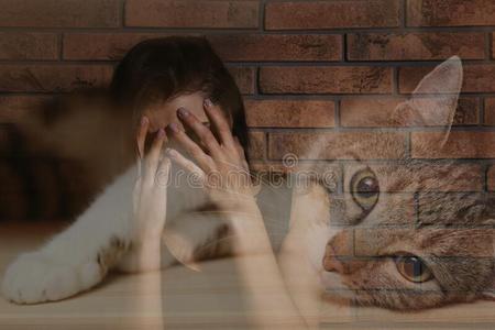 不合理的害怕关于catalogues商品目录照片