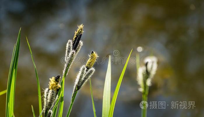 关-在上面关于大的岩石采用风景优美的风景和多岩石的海岸关于Thailand泰国