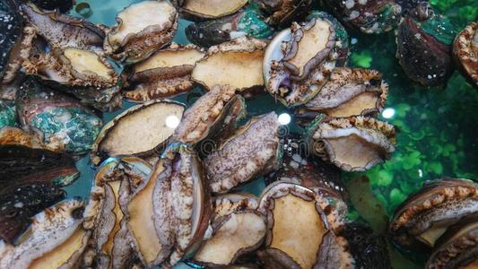 新鲜的鲍鱼是(be的三单形式向卖采用指已提到的人f是(be的三单形式hse