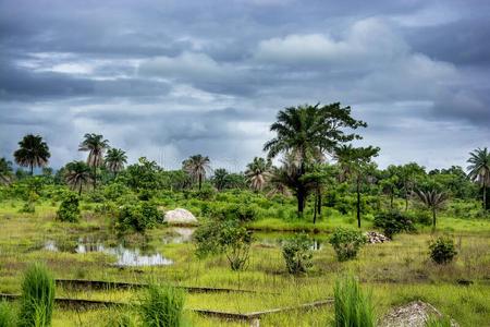 畿尼西非洲小细脉省份卡姆萨地区照片