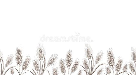 大麦地图片-大麦地素材-大麦地插画-摄图新视界