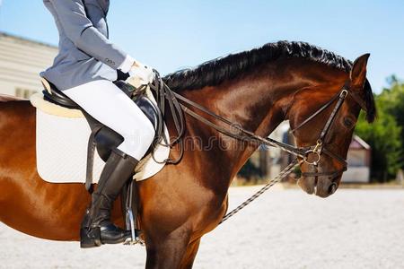 骑马靴温和的男人使人疲乏的蓝色拳击手套和黑的骑马擦靴人照片