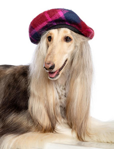 宽松的外衣图片