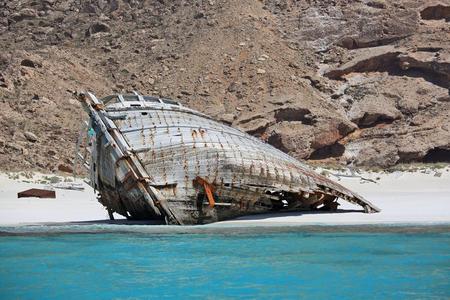 沙岸边的老木船驼背鲸被冲到岸边和死了航行浮标搁浅地向指已提到的人