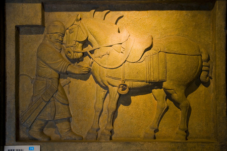 西安太宗墓出土八骏石雕照片