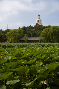 北海公园