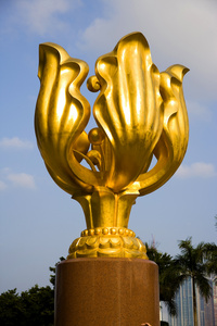 紫荆花香港图片