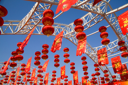 庙会2008年北京地坛春节庙会中国农历新年舞狮比赛在白色背景下被隔绝