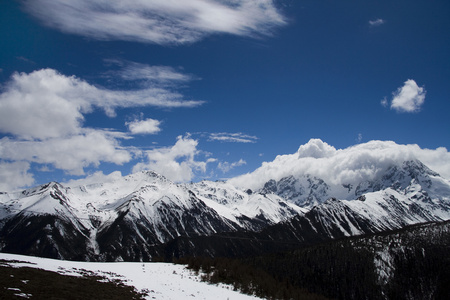 白马雪山