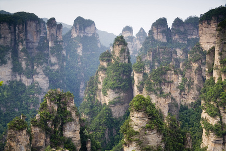 湖南,张家界,天子山