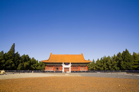 北京,中山公园,菊花