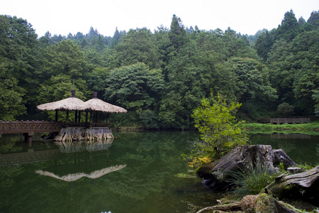 阿里山