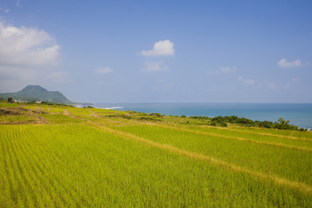 台湾,东部海滨,海滨公路