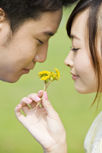 情侣漫步走过元红杉路关闭了海滩上的浪漫情侣头像情侣女男人面对面