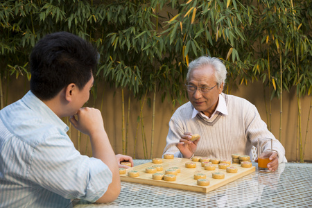 父子在院子里下棋