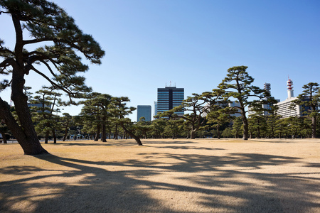 东京街景