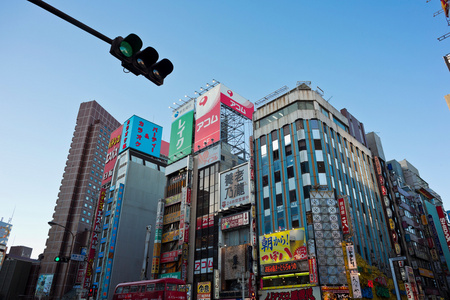 东京表参道图片 东京表参道素材 东京表参道插画 摄图新视界