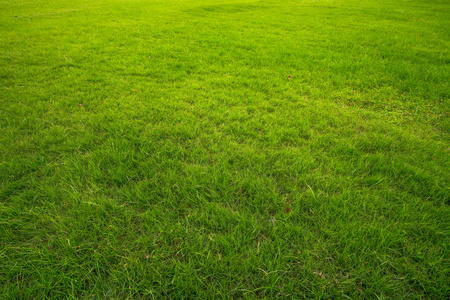 草地无人图片-草地无人素材-草地无人插画-摄图新视界