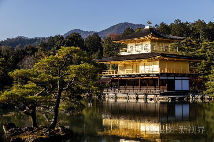 日本京都金阁寺照片 正版商用图片3adqaq 摄图新视界 日本京都金阁寺照片 正版商用图片3adqaq 摄图新视界