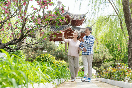 老年夫妻旅游