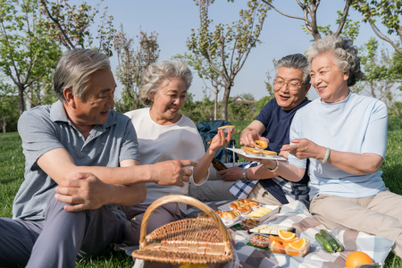 老年夫妻春游野餐