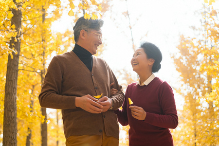 在银杏林散步的老年夫妻