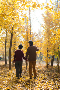 两个老人背影图片