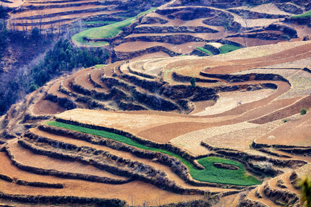 云南 东川红土地