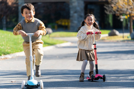 水獭玩耍摄影图片
