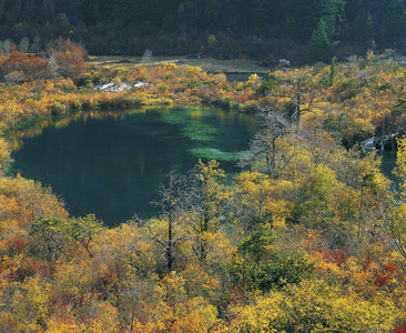 四川,九寨沟