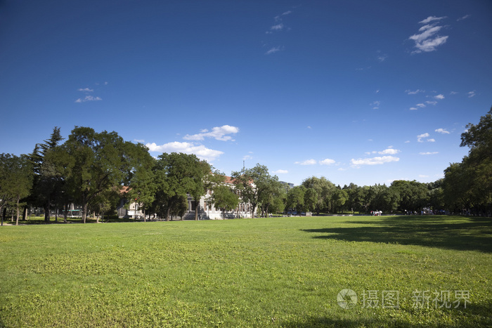 清华大学