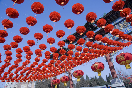 2008年北京地坛春节庙会照片