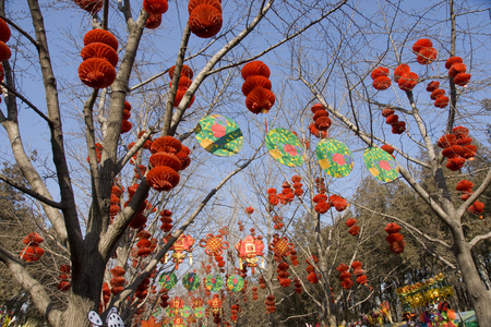 2008年北京地坛春节庙会