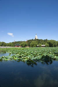 北京北海公园