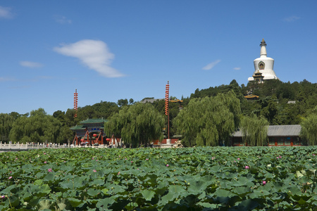 北京北海公园