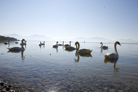 德国慕尼黑周边基姆湖Chiemsee