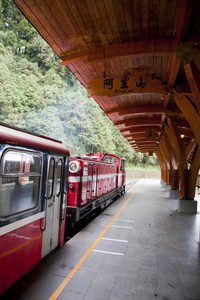 台湾 阿里山