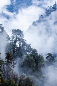 中国西南部山区风光