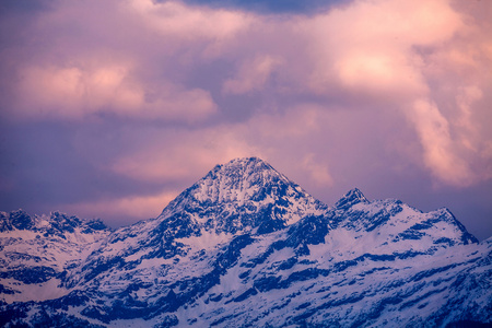 触手本子巴麻美图片