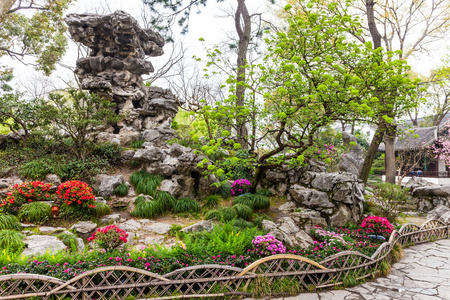 古典植物花草苏州拙政园照片